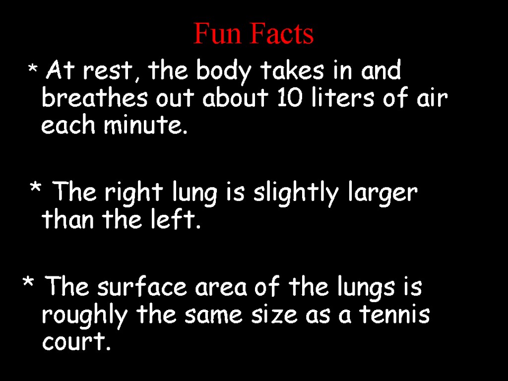 Fun Facts * At rest, the body takes in and breathes out about 10